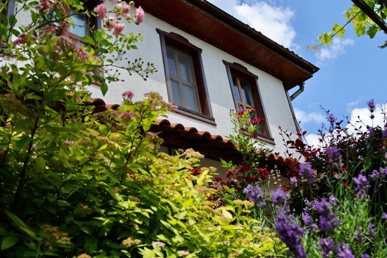 Hotel Iliikova House Kalofer Exteriér fotografie